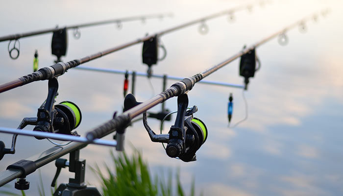 Best Fishing Reels