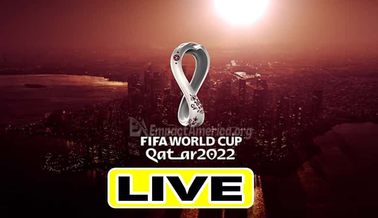 2022 FIFA World Cup live
